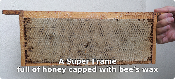 National Super Box Hive Frame